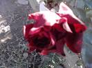 P141012_23.54_[01]