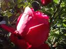 P141012_23.55_[01]