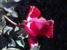 P141012_23.55_[02]