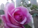 P141012_23.56_[01]
