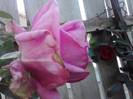 P141012_23.56_[02]
