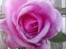 P141012_23.56_[03]