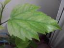 P151012_02.05_[01]