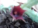 P151012_02.03_[02]