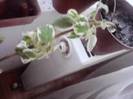 P161012_07.30_[02]