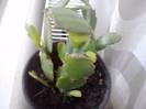 P161012_07.32_[01]