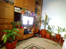 camera mea