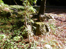 P1000268