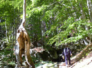 P1000275
