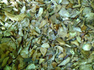 P1000281