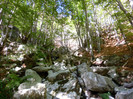 P1000304