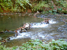 P1000325