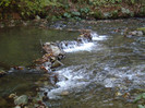P1000340