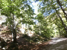 P1000343