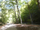 P1000344