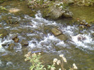P1000345