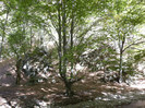 P1000346