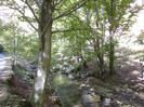 P1000347