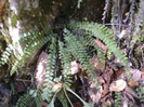 P1000349