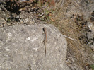 P1000362