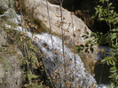 P1000363