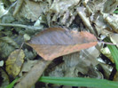 P1000403