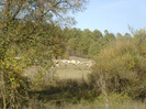 P1000371