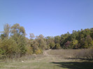 P1000374