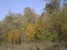 P1000376