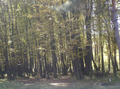 P1000379