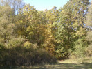 P1000381