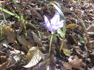 P1000384