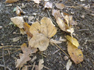 P1000390