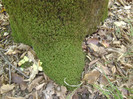P1000399