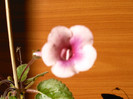 IMAG0022