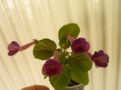 IMAG0027