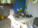 DSCN4816