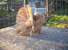 oct 2012 071