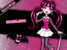 Monster-High-monster-high-15409377-737-552