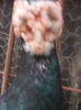 DSCN3103