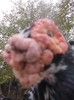 DSCN3117