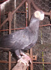 DSCN3064