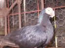 DSCN3084