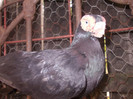 DSCN3086