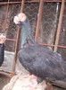 DSCN3097