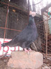 DSCN3187