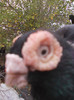 DSCN3191