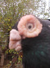 DSCN3192