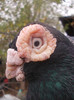 DSCN3194