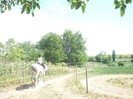 Michael Bilder 085